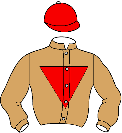 Casaque de Bainat Lbour (Mor)