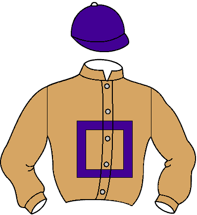 Casaque de Rokama (Mor)