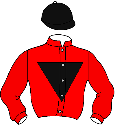 Casaque de Joyfull Quest Fal (Mor)