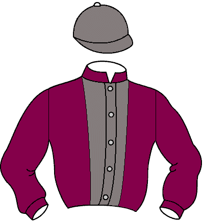 Casaque de Pokebowl (Mor)