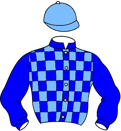 Casaque de Monstyle Fal (Mor)