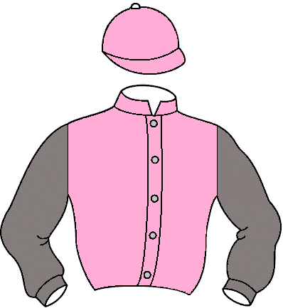 Casaque de Queen Bee (Fr)