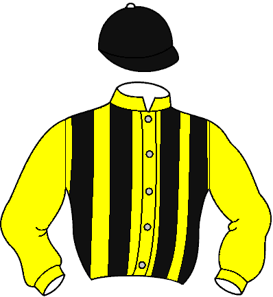 Casaque de Mayyara (Mor)