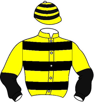 Casaque de Yazidmim (Mor)