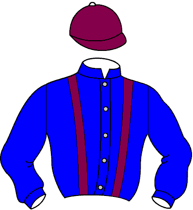 Casaque de Ayour Ethrane (Mor)