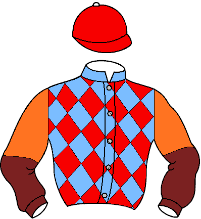 Casaque de Lyne (Mor)