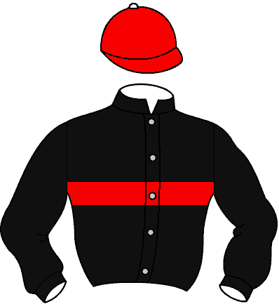 Casaque de Flash Queen Zr (Mor)