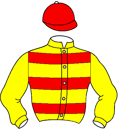 Casaque de Sofia Dam (Mor)