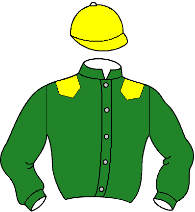 Casaque de Hydaya Spt (Mor)