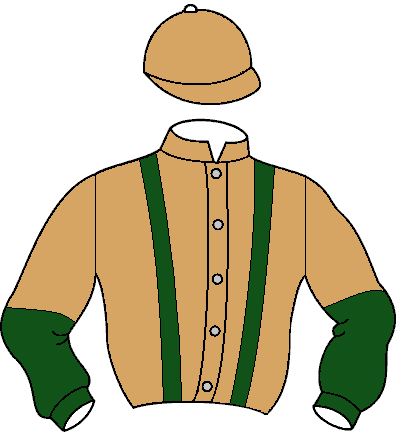 Casaque de Rakbe (Mor)