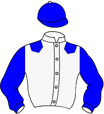 Casaque de Diamondda (Mor)